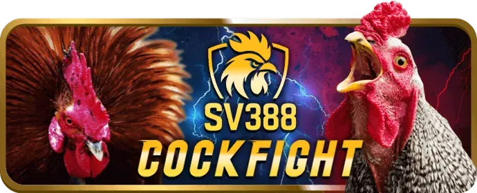 Tiền thưởng chào mừng hi88vip1 khuyến mãi cho người chơi mới